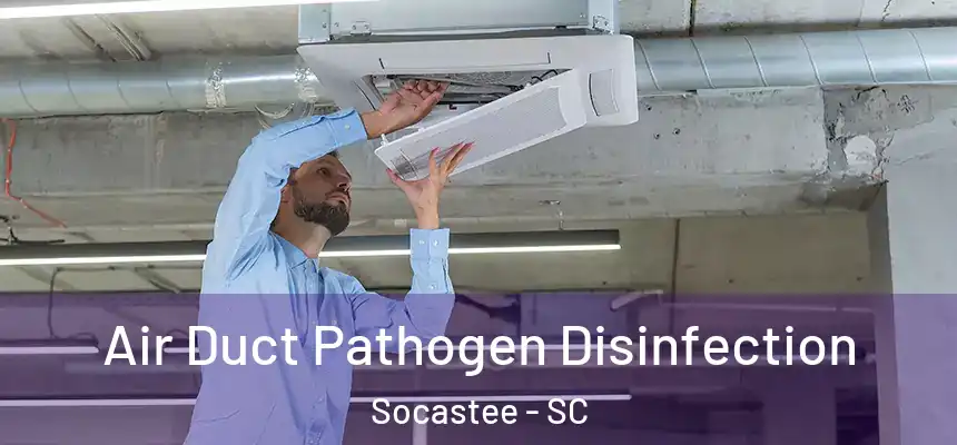  Air Duct Pathogen Disinfection Socastee - SC