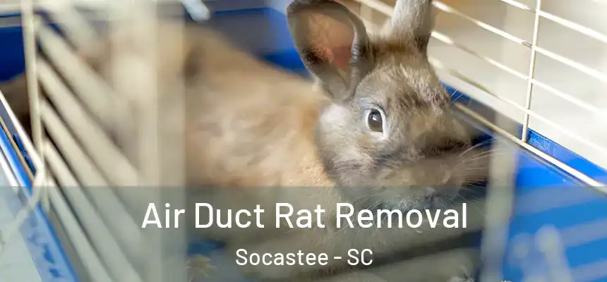 Air Duct Rat Removal Socastee - SC