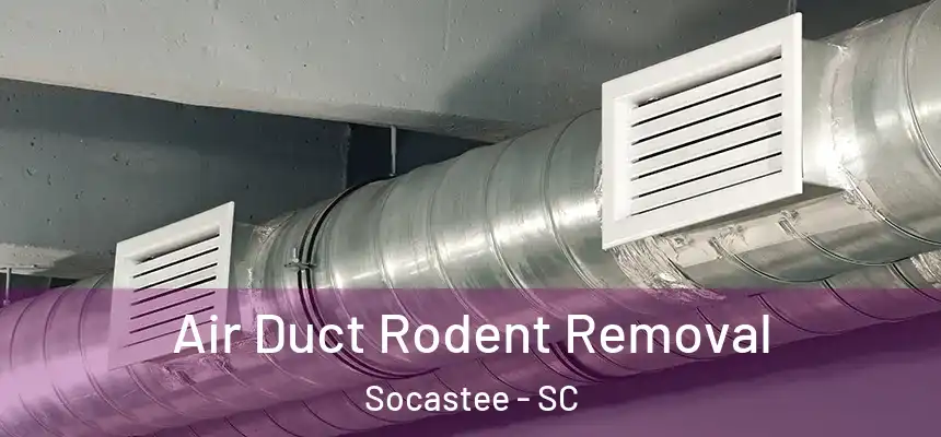 Air Duct Rodent Removal Socastee - SC