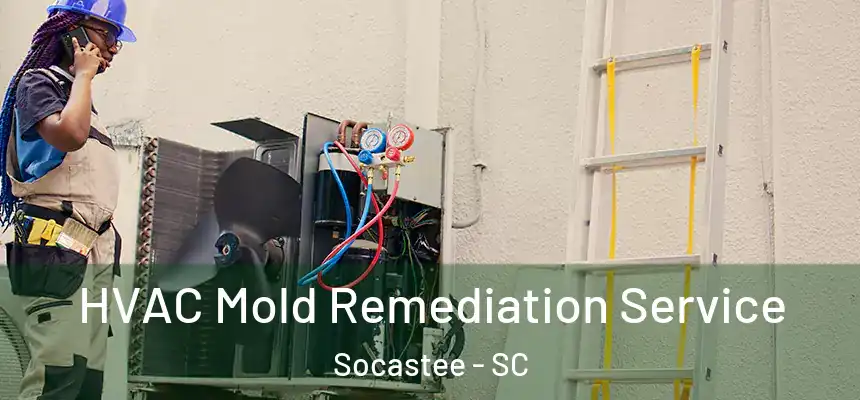  HVAC Mold Remediation Service Socastee - SC