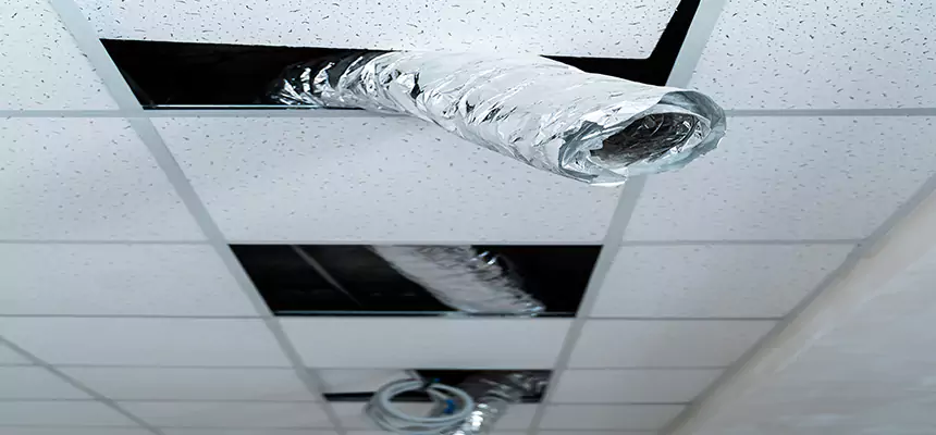 Our Air Duct Pet Hair Removal Services in Socastee, SC