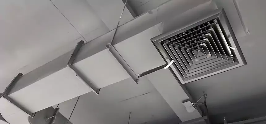 Restorative Allergy Relief Vent Cleaning – Coil, Blower & Housing Detail in Socastee