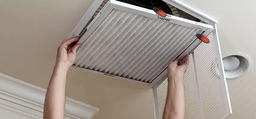 Our Insect Removal from Air Ducts Services in Socastee, SC