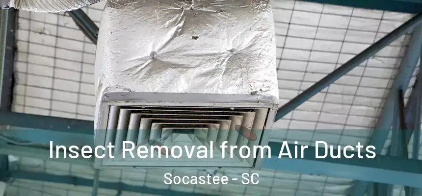  Insect Removal from Air Ducts Socastee - SC