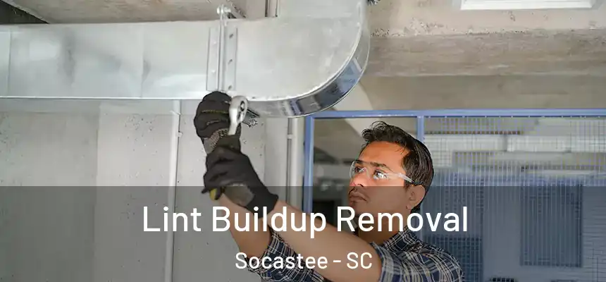  Lint Buildup Removal Socastee - SC