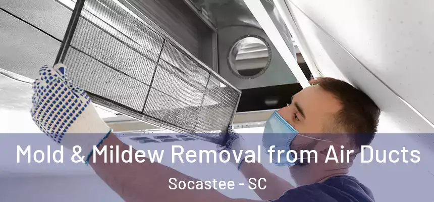  Mold & Mildew Removal from Air Ducts Socastee - SC
