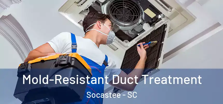  Mold-Resistant Duct Treatment Socastee - SC