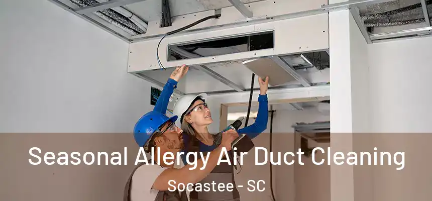  Seasonal Allergy Air Duct Cleaning Socastee - SC
