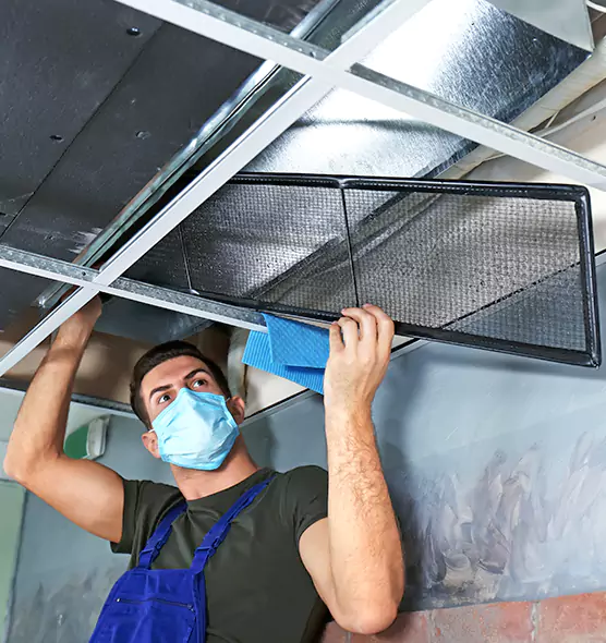 About Air Duct Bacteria Removal in Socastee