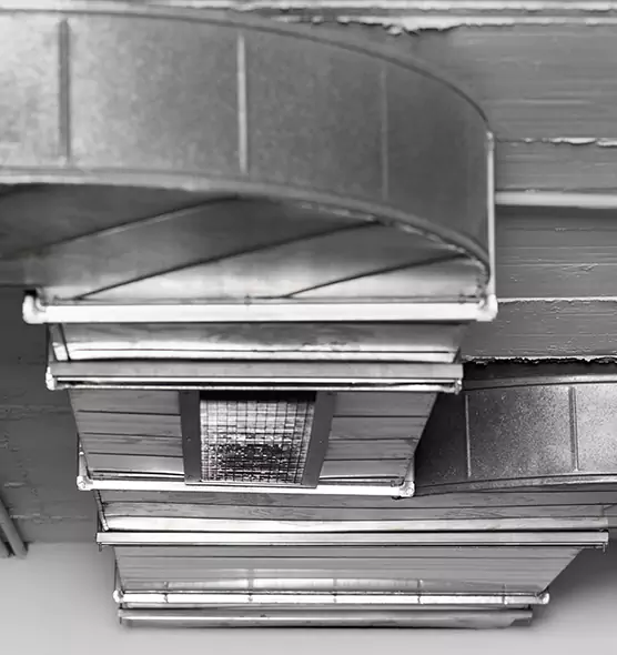 Professional Air Duct Pest Removal in Socastee, SC