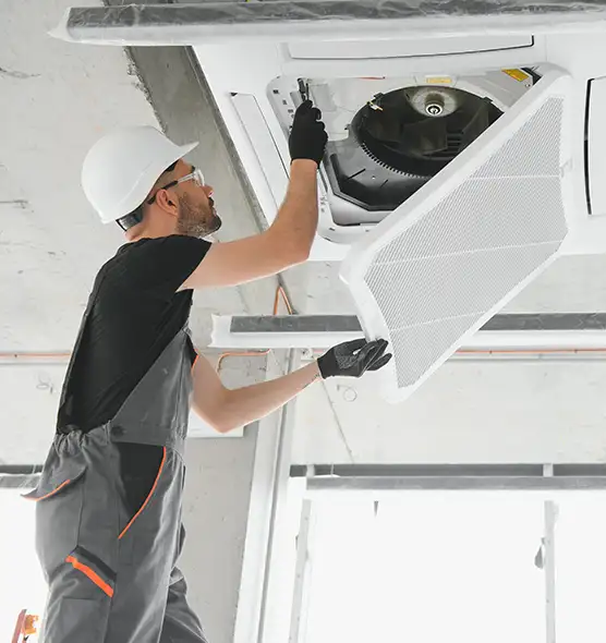 About Air Duct Rodent Removal in Socastee, SC