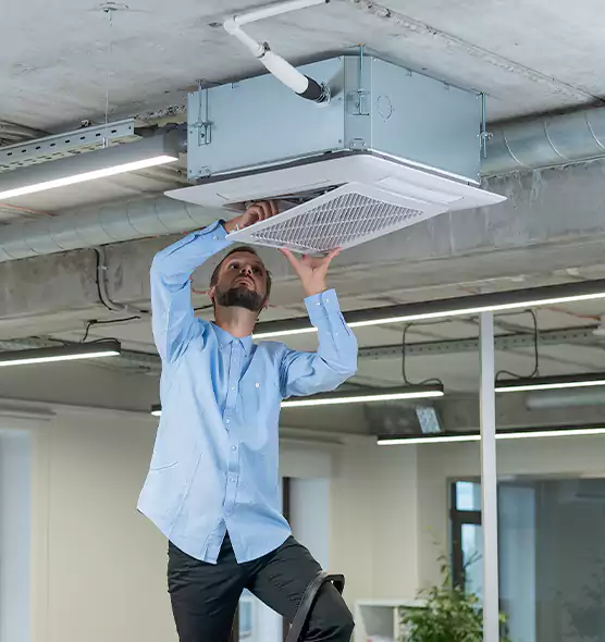 Advanced Rodent Droppings In Vents in Socastee, SC