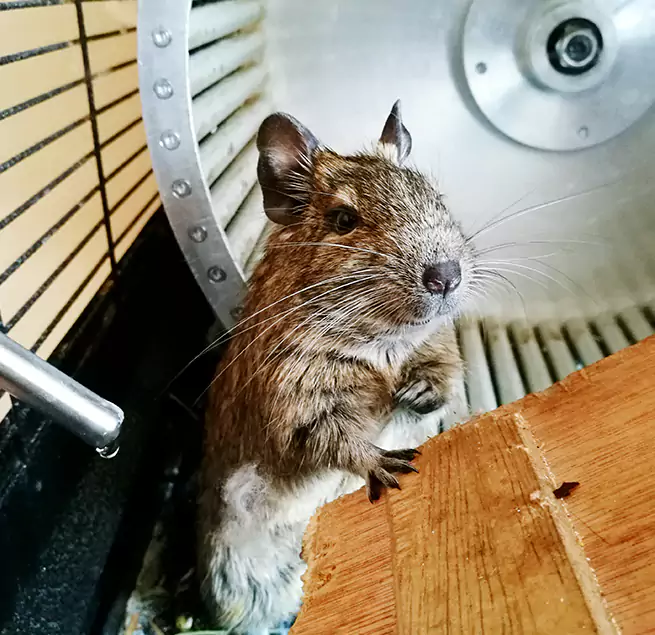 Why Homeowners & Businesses Trust Us Socastee, SC