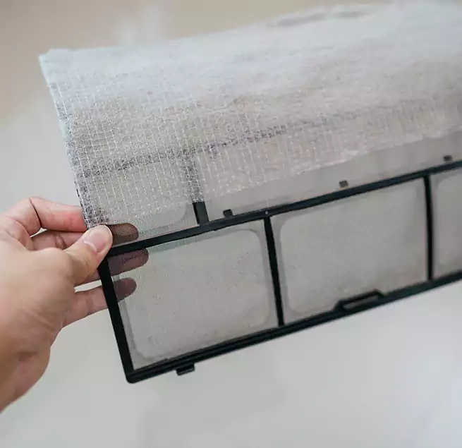 Why Homeowners & Businesses Trust Us in Socastee, SC?