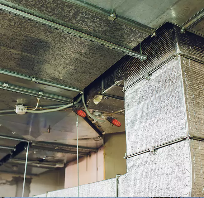 Why Homeowners & Businesses Trust Us Socastee, SC?