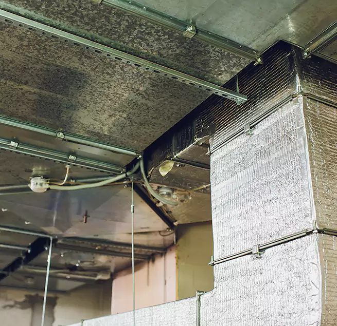 Why Homeowners & Businesses Trust Us in Socastee, SC?