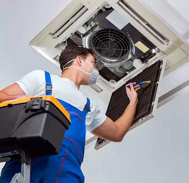 Why Homeowners & Businesses Trust Us in Socastee, SC?